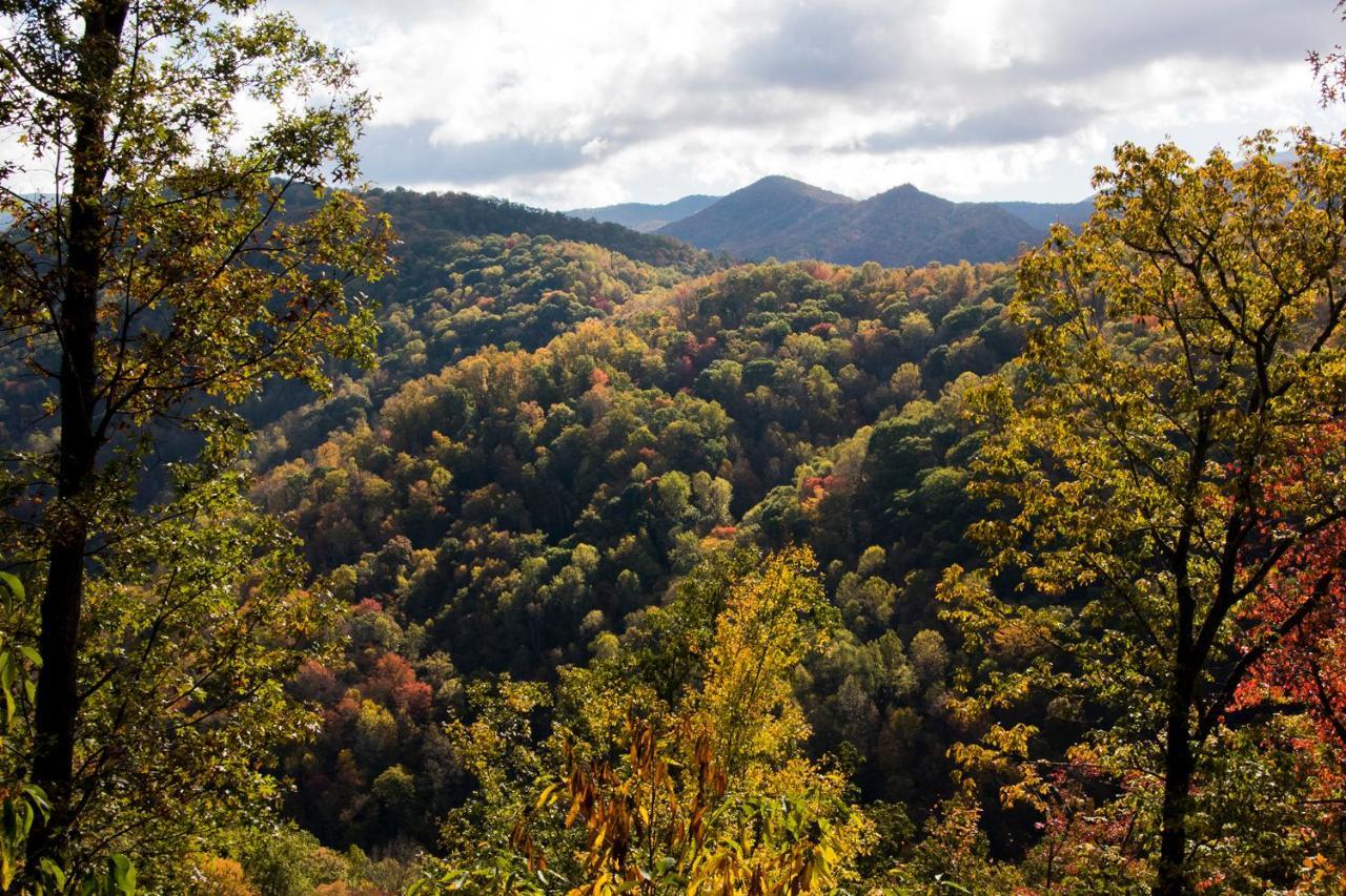Cherokee Mountain Cabins Llc Hotell Topton Exteriör bild